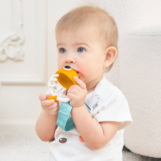 Klovnefisk Biteleke - Safran