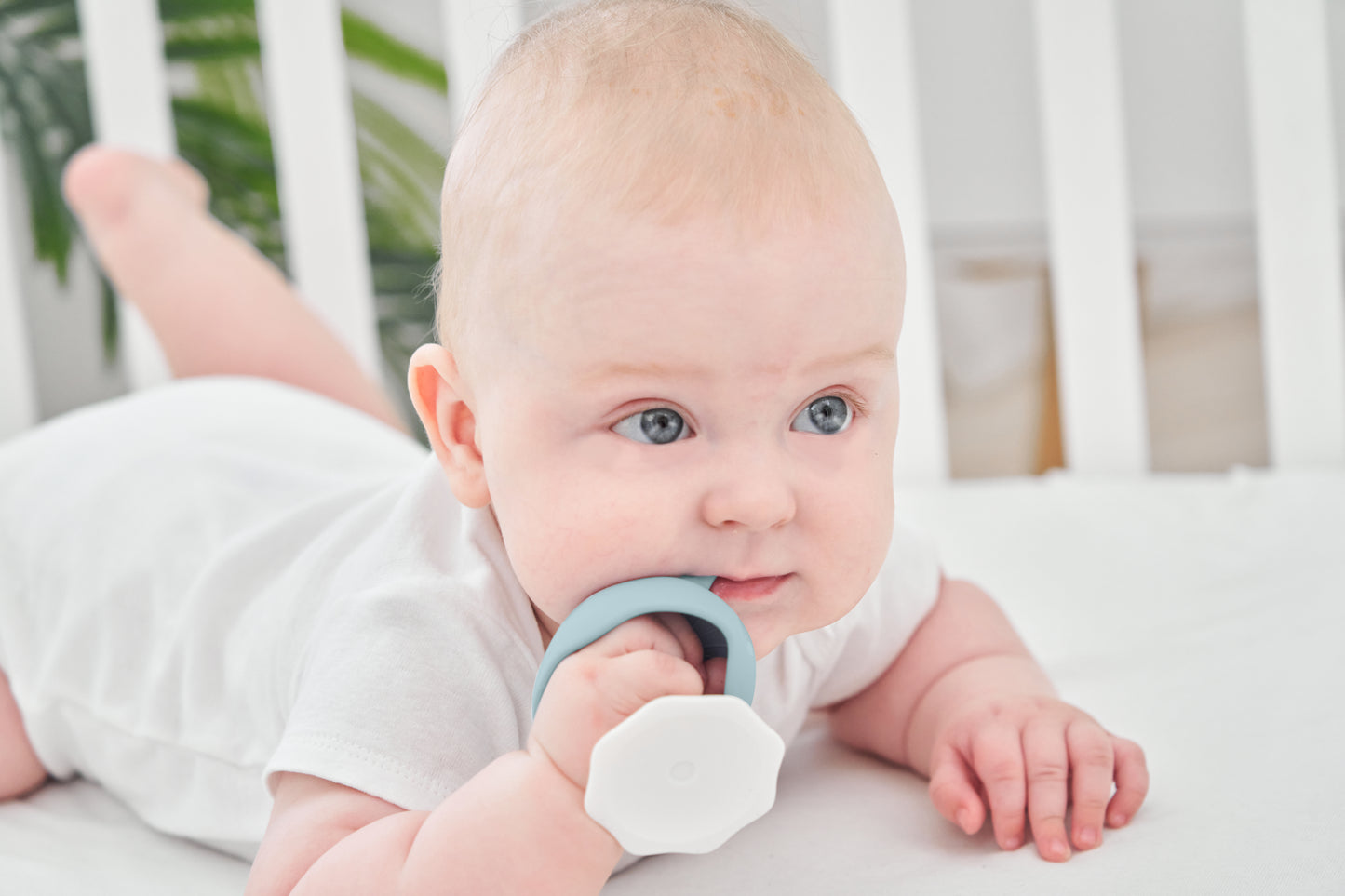 Sopp - Dus Grønn (iron green)