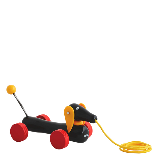 Dachs trekkeleke