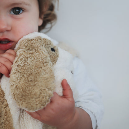 Lasse the Dog - Warming Cuddly Toy