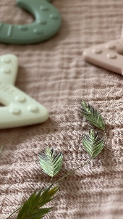 Dried green grass blades with delicate textures on beige fabric for funksjonell bitering perfekt tilpasset bitestjerne sage