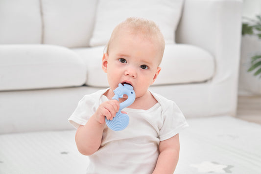 Light blue silicone seahorse teething toy ekorn blå that tåler oppvaskmaskin for trygg babysoving