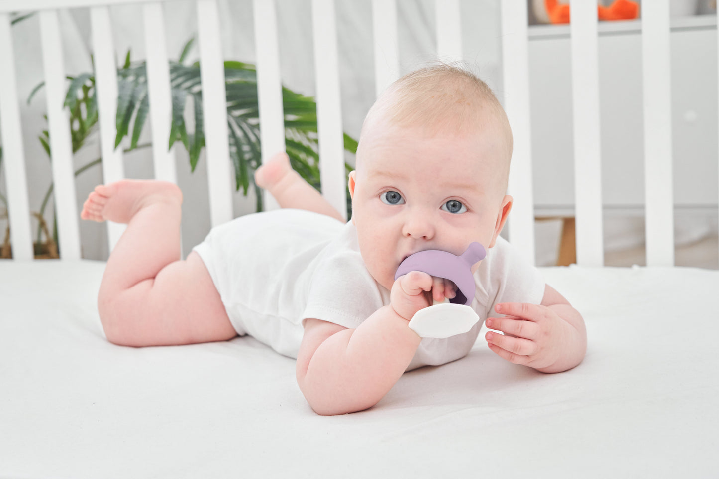 Purple silikon tåler oppvaskmaskin sopp lavendel teething ring med mykt, avrundet design