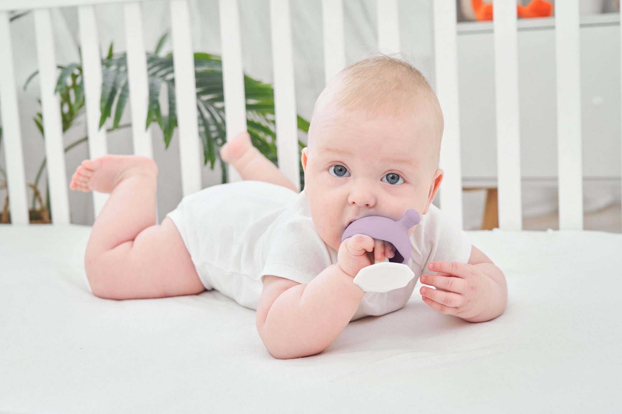 Purple silikon tåler oppvaskmaskin sopp lavendel teething ring med mykt, avrundet design