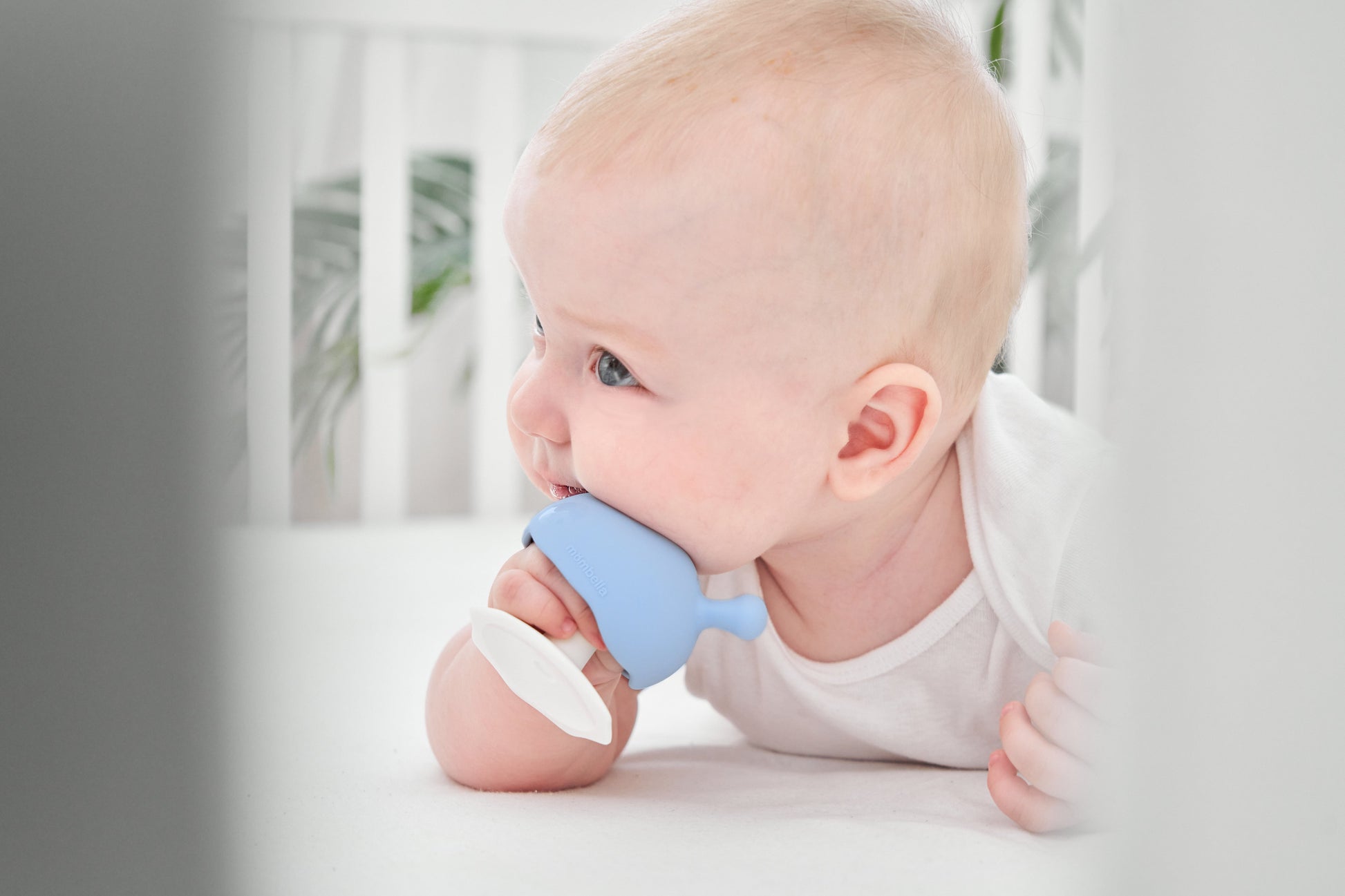 Blå silikon babyteether formet som en hval med hvite detaljer tåler oppvaskmaskin sopp lyseblå