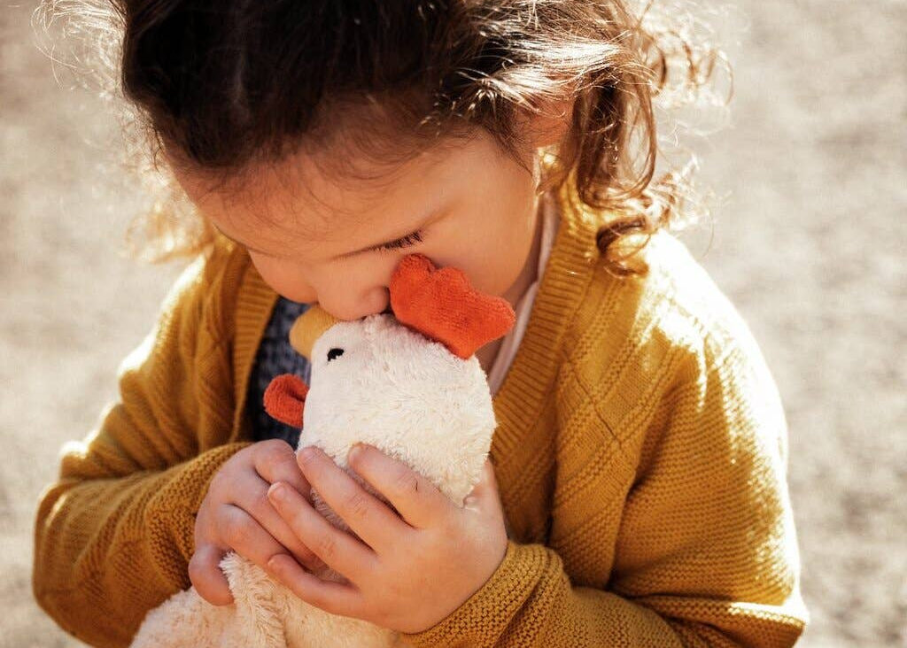 Hand puppet - Chicken