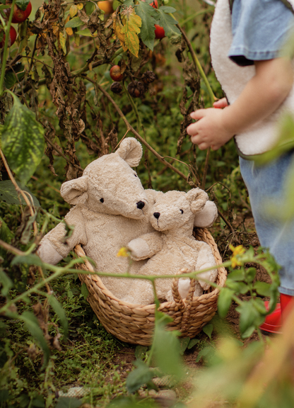 Basse the Bear - Warm Cuddly Toy
